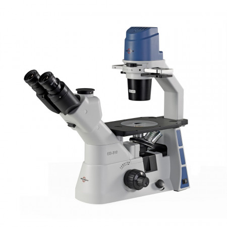EXI-310 Trinocular Microscope with Plan Phase Objectives